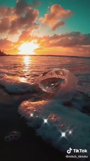 Живые обои смотреть онлайн