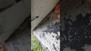Ошибка при утеплении стен пенопластом