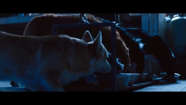 ДОГМЕН_ПРОМОРОЛИК _DogMan # смотреть онлайн