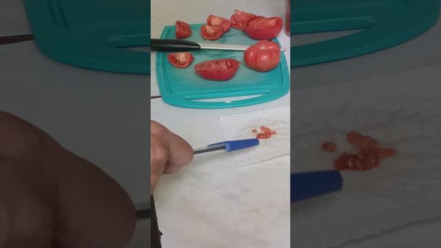 Простейший способ собрать семена томатов для посева смотреть онлайн