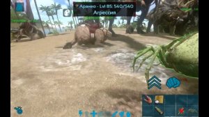 КАК ПРИРУЧИТЬ АРАНЕО | Ark Mobile #19 | 2-сезон