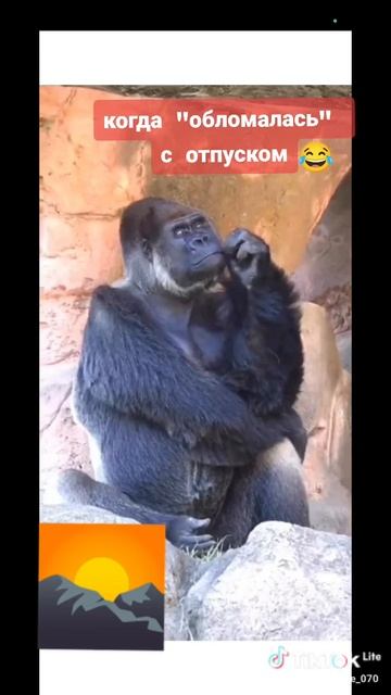 #отпуск #побрили #пролетела как фанера над Парижем с от смотреть онлайн