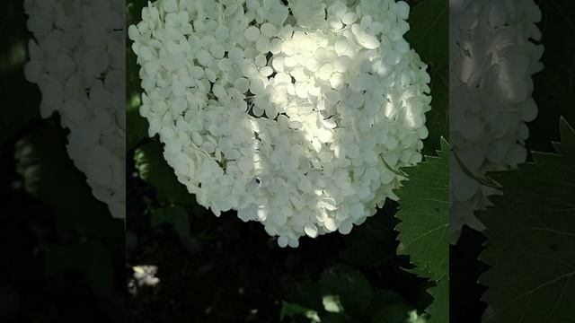 Красивые фото с телефона Часть 2. Природа Дагестана. смотреть онлайн