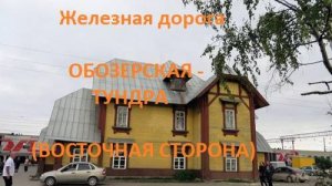 Железная дорога Обозерская - Холмогорская - Тундра (вид из окна поезда, восточная сторона) (СЖД)