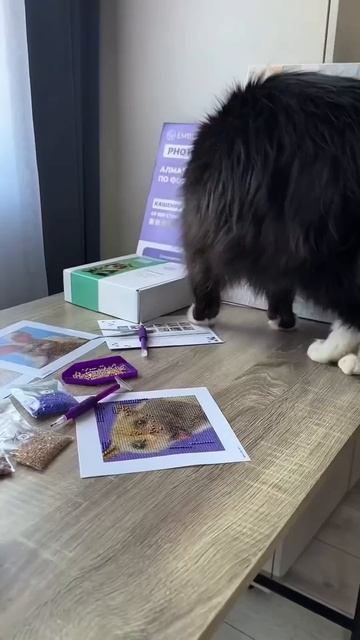 Он это сделал!🐾💎 #алмазнаямозаика MINI GEMS на 💙OZON: 18328045 смотреть онлайн