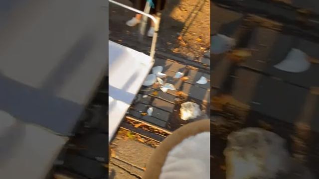 VID-20241014-WA0011 #блошка Калининград #Калининград #Блошиный рынок Калининград #блошка