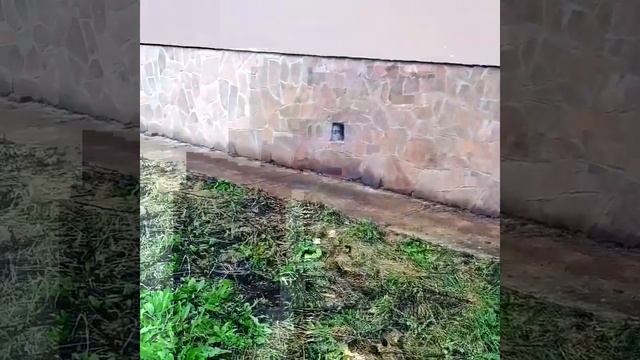 Облицовка цоколя из природного камня смотреть онлайн
