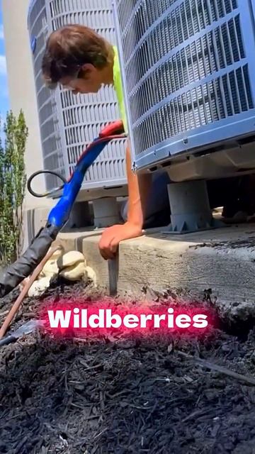 Популярная пена за копейки для поднятия домов и фунда? смотреть онлайн