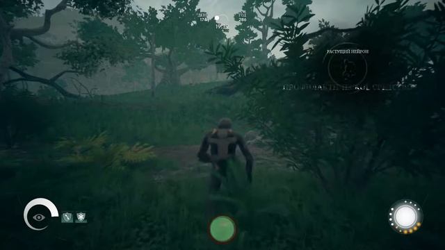 Прохождение Ancestors - The Humankind Odyssey #27