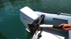 MERCURY AVATOR 7.5e  электрический лодочный мотор на озере Сев?