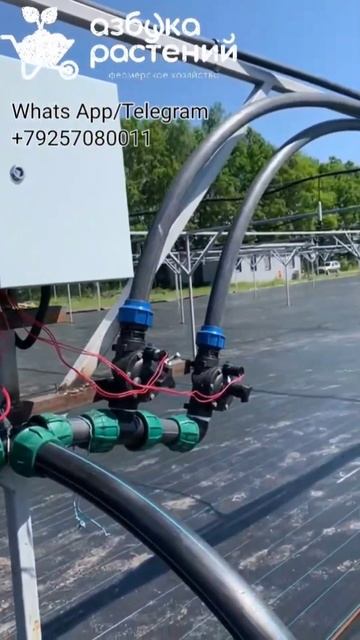 Автоматический полив на контейнерной площадке, в наше