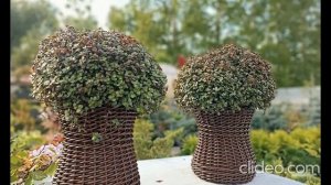 Кашпо из искусственного ротанга Песочные часы ⌛