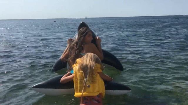 🌊🌊🐬БЕЛЛА ВЫРОСЛА❤️