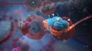 Гаряев П.П. — Звуковая матрица «Активатор клеточных реакций»