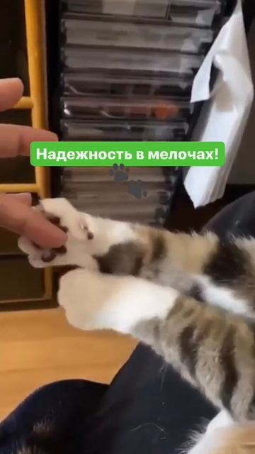Фанера с сотами от Ингкома: Прочность, которой можно д? смотреть онлайн