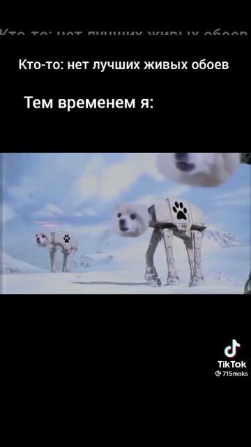 лучшие живые обои смотреть онлайн