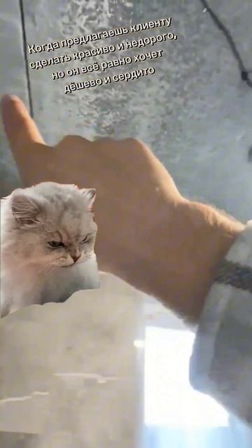 Когда очень хочешь сделать натяжной потолок качестве смотреть онлайн