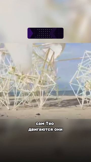 Движущиеся скульптуры из ПВХ труб смотреть онлайн