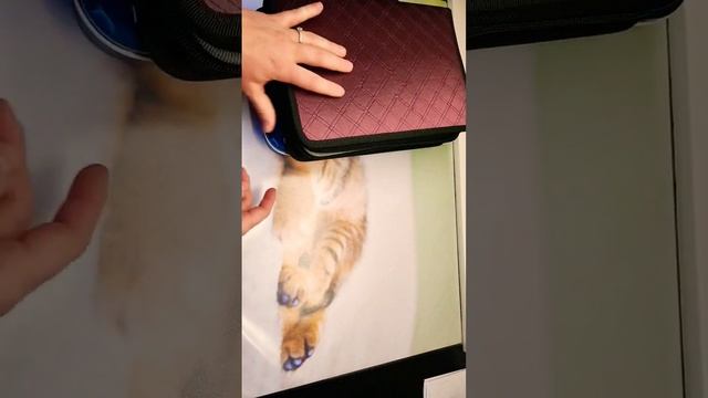 Отправляюсь до Марины с раскрасками путешественники! смотреть онлайн