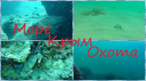 Чистое море. Крым. Подводная охота.