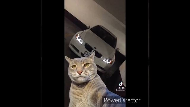 Смени обои смотреть онлайн