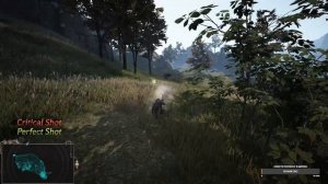 BDO/ПРИЦЕЛЬНАЯ ОХОТА/КАК ПОДНЯТЬ МИЛЛИАРДЫ!