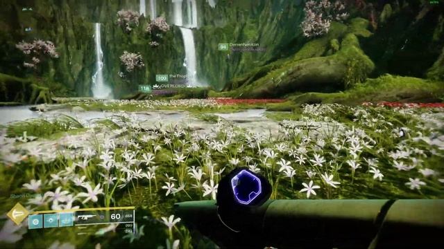 Destiny 2 Обитель Теней - рейд "Сад Спасения" и "Божественность" 🔴160 смотреть онлайн