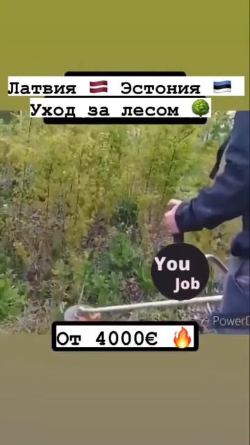 Работа для мужчин 💪🏻 смотреть онлайн