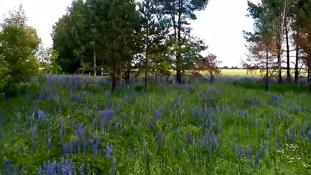 Укромные уголки России смотреть онлайн