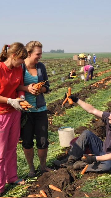 НАЗАД В СССР.) смотреть онлайн