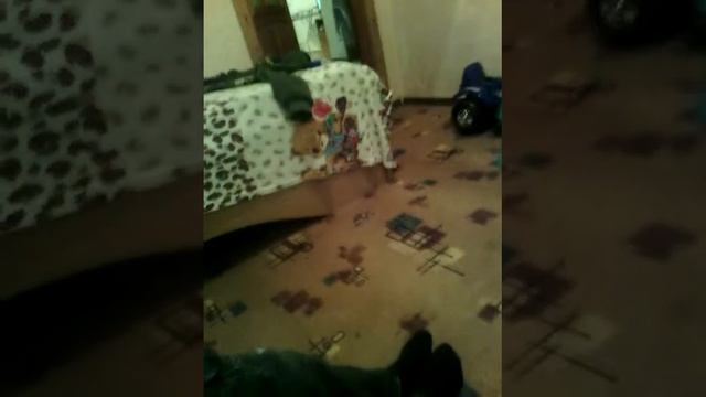 Пулялка из ручки реаль работает смотреть онлайн