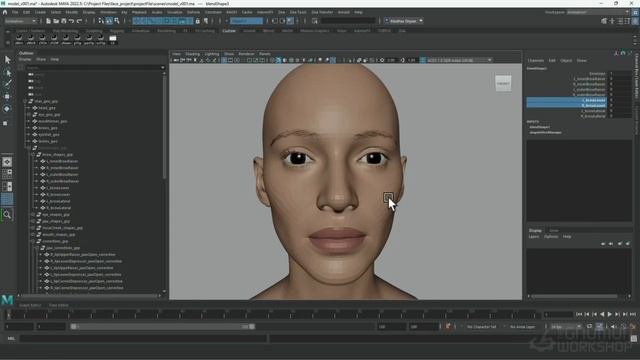 02. Face Model & FACS Shapes смотреть онлайн