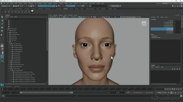 02. Face Model & FACS Shapes