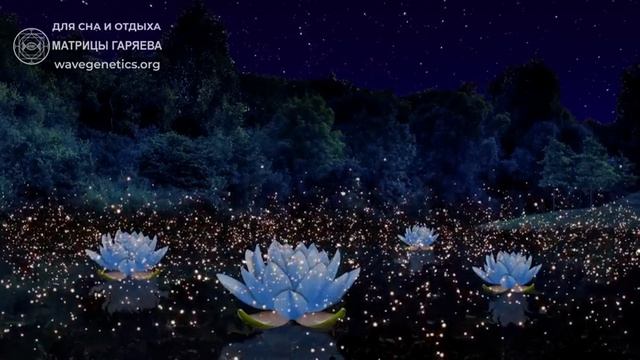 Матрица П.Гаряева - для сна и отдыха смотреть онлайн