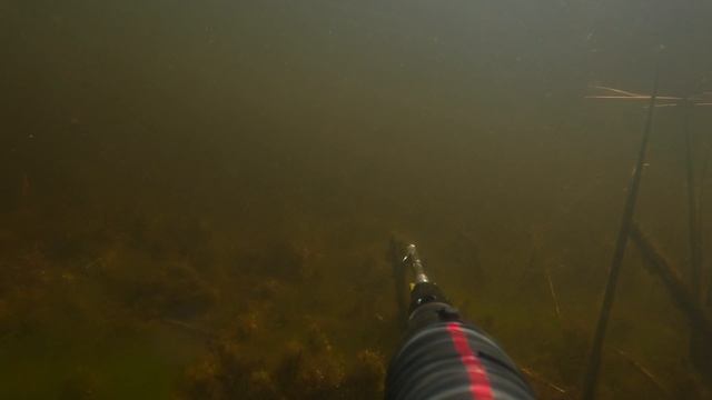 финский залив смотреть онлайн