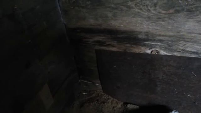 сарай новостройка смотреть онлайн