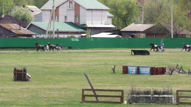 07.05.2025г.Абаканский Ипподром Приз В честь дня работника сх для лошадей рысистых пород 3-х лет 160