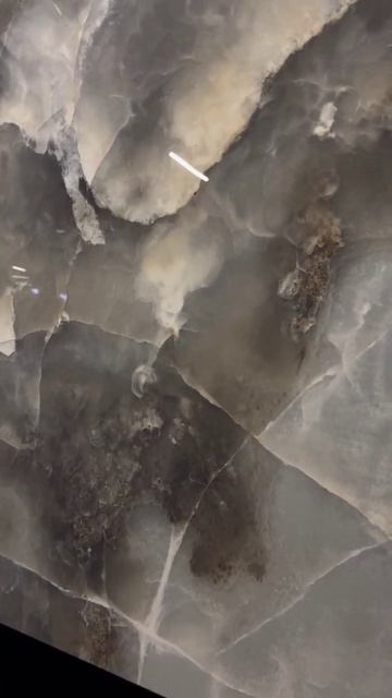 Керамогранит Primavera (PR119) #дом #интерьер #плитка #кухня #в? смотреть онлайн