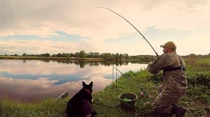 Рыбалочка с пылу с жару. Триста лет не был на рыбалке...Часть 1 - рыбалка в чистом поле.