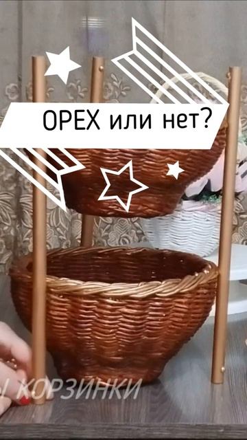 @Shorts Морилка ОРЕХ#илиНЕорех?#илиТИК? смотреть онлайн