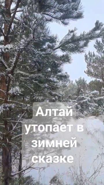 Прекрасный уголок Алтайского края #алтайналадони #алт смотреть онлайн