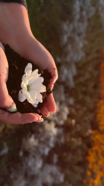 Обратный эффект #tutorial #iphone #trend #обучение #тренд #фото #ф? смотреть онлайн