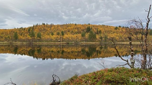 по-грибочки