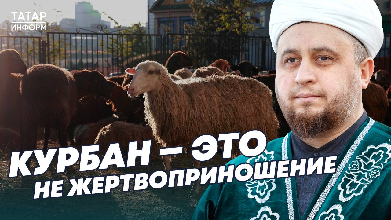 «Курбан – это не жертвоприношение»: Хазрат отвечает на вопросы о Курбан-байраме