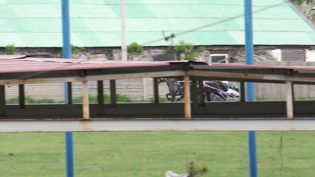 17.05.2025г.Абаканский Ипподром лошади  3-х лет орловской  рысистой породы   1600м