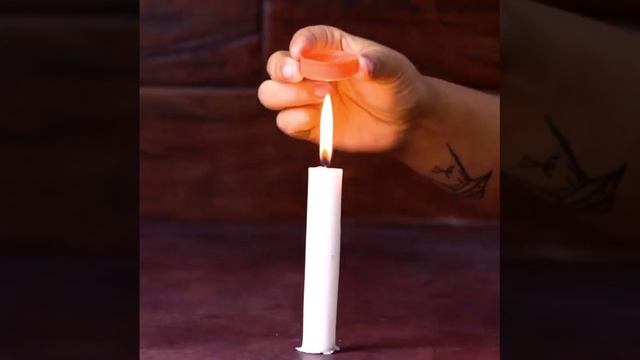 лайфхаки для всей семьи