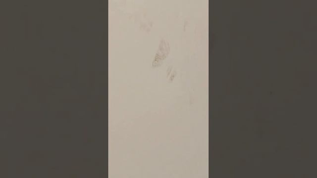 шпаклёвка стены смотреть онлайн