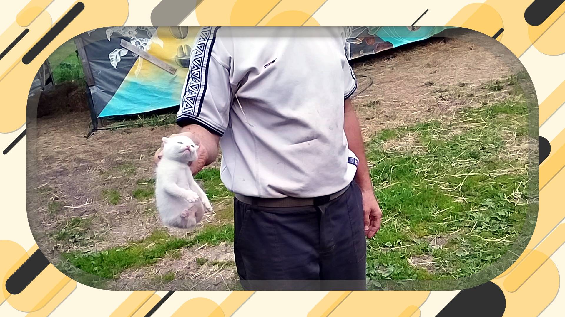 ХОЗЯЙСТВО РАЗМНОЖАЕТСЯ ПОД КАЖДЫМ КУСТОМ!4 смотреть онлайн