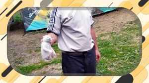 ХОЗЯЙСТВО РАЗМНОЖАЕТСЯ ПОД КАЖДЫМ КУСТОМ!4