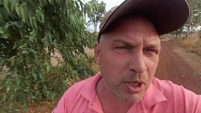 Тайки бросают фарангов смотреть онлайн